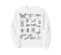 Tableau Scientifique des espèces d'insectes Entomologie Histoire Naturelle Sweatshirt