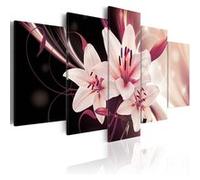 Tableau Secret de la beauté-Taille L 200 x H 100 cm Imprimé G