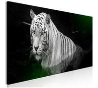 Tableau - Shining Tiger (1 Part) Green Narrow - 120x40 Artgeist (8669) G