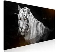 Tableau Imprimé "Shining Tiger Orange Narrow" 40 x 120 cm Multicolore G