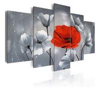 Tableau Spécificité-Taille L 100 x H 50 cm Imprimé G