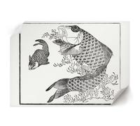 Tableau sur Toile 59,4x42 cm | Format A2 | Carpe