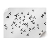 Tableau sur Toile 59,4x42 cm | Format A2 | Oiseaux volants