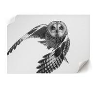 Tableau sur Toile 84x59,4 cm | Format A1 | Chouette en vol