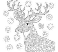Tableau sur toile à colorier cerf 30x30 cm CEANOTHE Décoration Murale Art Décoratif Muraux Peinture Imprimée en HD Salon Chambre Bureau Fabriqué en France Blanc G