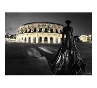Tableau sur toile arènes de Nîmes 45x65 cm CEANOTHE Décoration Murale Art Décoratif Muraux Peinture Imprimée en HD Salon Chambre Bureau Fabriqué en France Noir