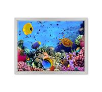 Tableau sur toile avec cadre - Fond marin - Coraux - Barrière Corallina - 30 x 40 cm - Style moderne blanc - (code 1094)