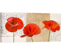 Tableau sur toile avec fleurs Shabby Chic - Elena Dolci - Trois coquelicots - 120x60 cm