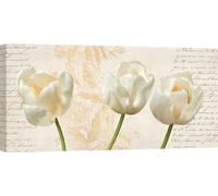 Tableau sur toile avec fleurs Shabby Chic - Elena Dolci - Trois tulipes - 100x50 cm