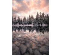 Tableau sur toile beaute enchantée 30x45 cm CEANOTHE Décoration Murale Art Décoratif Muraux Peinture Imprimée en HD Salon Chambre Bureau Fabriqué en France Rose G