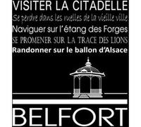 Tableau sur toile Belfort noir 30x30 cm CEANOTHE Décoration Murale Art Décoratif Muraux Peinture Imprimée en HD Salon Chambre Bureau Fabriqué en France Noir
