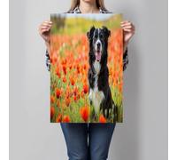 Tableau Sur Toile Berger Champ De Coquelicots, Réalisme Naturaliste, Impression Sur Toile Pour Décoration Murale Salon, Chambre Ou Salle De Bain, 90 x 60 cm, Sans Cadre, Rouge