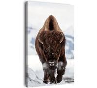 Tableau sur toile bison 45x65 cm CEANOTHE Décoration Murale Art Décoratif Muraux Peinture Imprimée en HD Salon Chambre Bureau Fabriqué en France Marron