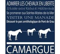 Tableau sur toile Camargue navy 30x30 cm CEANOTHE Décoration Murale Art Décoratif Muraux Peinture Imprimée en HD Salon Chambre Bureau Fabriqué en France Bleu G
