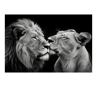 Tableau sur toile CEANOTHE Lion et Lionne Amoureux 45x65 cm Noir & blanc