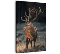 Tableau sur toile cerf sauvage 65x97 cm CEANOTHE Décoration Murale Art Décoratif Muraux Peinture Imprimée en HD Salon Chambre Bureau Fabriqué en France Marron G