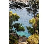 Tableau sur toile chemin vers les calanques 30x45 cm CEANOTHE Décoration Murale Art Décoratif Muraux Peinture Imprimée en HD Salon Chambre Bureau Fabriqué en France Vert G