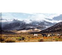 Tableau sur toile, chevaux sauvages, réserve naturelle Lake Mono, Californie - 140x70 cm