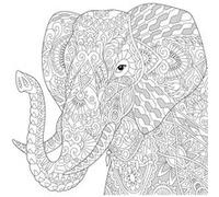Tableau sur toile éléphant à colorier 30x30 cm - Ceanothe, fabriqué en France