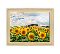 Tableau sur toile encadré - avec cadre - Fleurs - Tournesol - Nature Panorama Paysage - Champ fleuri Bouquet - 30 x 40 cm - Style contemporain bois naturel - (cod.5026)