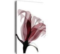 Tableau sur toile fleur abstraite 65x97 cm CEANOTHE Décoration Murale Art Décoratif Muraux Peinture Imprimée en HD Salon Chambre Bureau Fabriqué en France Blanc