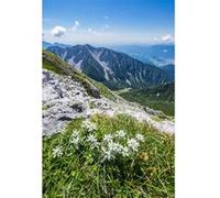 Tableau sur toile flore massif Hautes-Pyrénées 45x65 cm CEANOTHE Décoration Murale Art Décoratif Muraux Peinture Imprimée en HD Salon Chambre Bureau Fabriqué en France Vert G