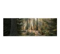 Tableau sur toile forêt enchantée 45x135 cm CEANOTHE Décoration Murale Art Décoratif Muraux Peinture Imprimée en HD Salon Chambre Bureau Fabriqué en France Vert G