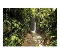 Tableau sur toile forêt tropicale 30x45 cm CEANOTHE Décoration Murale Art Décoratif Muraux Peinture Imprimée en HD Salon Chambre Bureau Fabriqué en France Vert G