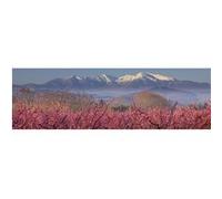 Tableau sur toile le Canigou eneigé 30x97 cm CEANOTHE Décoration Murale Art Décoratif Muraux Peinture Imprimée en HD Salon Chambre Bureau Fabriqué en France Multicolore G