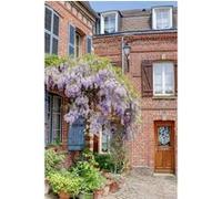 Tableau sur toile maison Glycine Amiens 30x45 cm CEANOTHE Décoration Murale Art Décoratif Muraux Peinture Imprimée en HD Salon Chambre Bureau Fabriqué en France Multicolore G