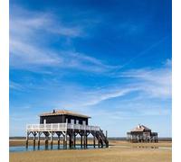 Tableau sur toile maison piloti blanc 30x30 cm CEANOTHE Décoration Murale Art Décoratif Muraux Peinture Imprimée en HD Salon Chambre Bureau Fabriqué en France Bleu G