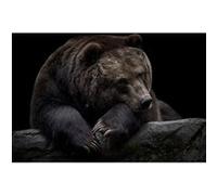 Ceanothe Tableau sur Toile Ours Brun du Kamtchatka 65x97 cm Décoration Murale Art Décoratif Muraux Peinture Imprimée en HD Salon Chambre Bureau Bois de Forêt FSC Fabriqué en France