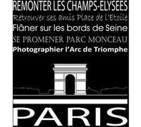 Tableau sur toile Paris Arc de Triomphe noir 30x30 cm CEANOTHE Décoration Murale Art Décoratif Muraux Peinture Imprimée en HD Salon Chambre Bureau Fabriqué en France Noir G