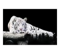 Tableau sur toile pause délicate 45x65 cm CEANOTHE Décoration Murale Art Décoratif Muraux Peinture Imprimée en HD Salon Chambre Bureau Fabriqué en France Noir & Blanc G