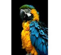 Tableau sur toile perroquet 30x45 cm CEANOTHE Décoration Murale Art Décoratif Muraux Peinture Imprimée en HD Salon Chambre Bureau Fabriqué en France Multicolore G