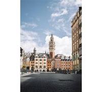 Tableau sur toile place du Général de Gaulle Lille 30x45 cm CEANOTHE Décoration Murale Art Décoratif Muraux Peinture Imprimée en HD Salon Chambre Bureau Fabriqué en France Multicolore G