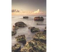 Tableau sur toile plage de mexico 65x97 cm CEANOTHE Décoration Murale Art Décoratif Muraux Peinture Imprimée en HD Salon Chambre Bureau Fabriqué en France Marron G