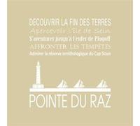 Tableau sur toile Pointe du Raz vison 30x30 cm CEANOTHE Décoration Murale Art Décoratif Muraux Peinture Imprimée en HD Salon Chambre Bureau Fabriqué en France Beige G