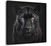 Tableau sur toile portrait panthère 45x45 cm CEANOTHE Décoration Murale Art Décoratif Muraux Peinture Imprimée en HD Salon Chambre Bureau Fabriqué en France Noir G