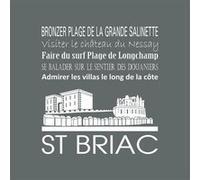 Tableau sur toile Saint-Briac cendre 30x30 cm CEANOTHE Décoration Murale Art Décoratif Muraux Peinture Imprimée en HD Salon Chambre Bureau Fabriqué en France Gris G