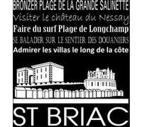 Tableau sur toile Saint-Briac noir 30x30 cm CEANOTHE Décoration Murale Art Décoratif Muraux Peinture Imprimée en HD Salon Chambre Bureau Fabriqué en France Noir G