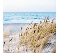 Tableau sur toile sandy beach 30x30 cm CEANOTHE Décoration Murale Art Décoratif Muraux Peinture Imprimée en HD Salon Chambre Bureau Fabriqué en France Bleu G