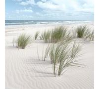 Tableau sur toile sandy beach vent 30x30 cm CEANOTHE Décoration Murale Art Décoratif Muraux Peinture Imprimée en HD Salon Chambre Bureau Fabriqué en France Beige G