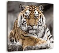 Tableau sur toile tigre de Sibérie 30x30 cm CEANOTHE Décoration Murale Art Décoratif Muraux Peinture Imprimée en HD Salon Chambre Bureau Fabriqué en France Multicolore