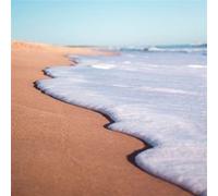 Tableau sur toile tropical beach 65x65 cm CEANOTHE Décoration Murale Art Décoratif Muraux Peinture Imprimée en HD Salon Chambre Bureau Fabriqué en France Orange G