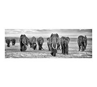 Tableau sur toile troupeau d'éléphants noir & blanc 45x135 cm CEANOTHE Décoration Murale Art Décoratif Muraux Peinture Imprimée en HD Salon Chambre Bureau Fabriqué en France Noir & blanc G