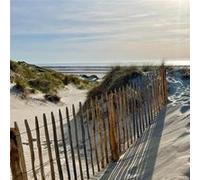 Tableau sur verre dune Mers les Bains 30x30 cm CEANOTHE Décoration Murale Art Décoratif Muraux Peinture Imprimée en HD Salon Chambre Bureau Fabriqué en France Beige G