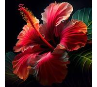 Tableau sur verre hibiscus 30x30 cm CEANOTHE Décoration Murale Art Décoratif Muraux Peinture Imprimée en HD Salon Chambre Bureau Fabriqué en France Rouge G