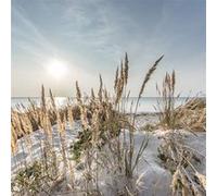 Tableau sur verre sunset 45x45 cm CEANOTHE Décoration Murale Art Décoratif Muraux Peinture Imprimée en HD Salon Chambre Bureau Fabriqué en France Bleu G