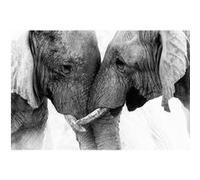 Tableau sur verre synthétique éléphants 65x97 cm CEANOTHE Décoration Murale Art Décoratif Muraux Peinture Imprimée en HD Salon Chambre Bureau Fabriqué en France Noir & blanc G